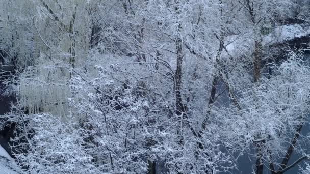 Vista desde la ventana. Primera nieve o nieve en primavera — Vídeo de stock