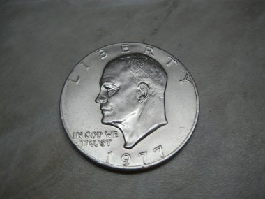 Nadir bulunan gümüş Amerikan Doları