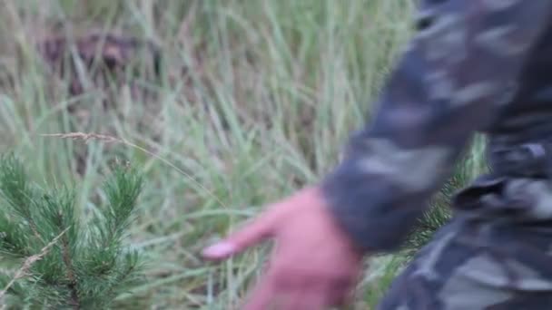 Soldier runs between young pine trees — Stock Video