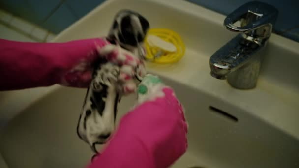 Im Waschbecken wäscht jemand das Telefon — Stockvideo