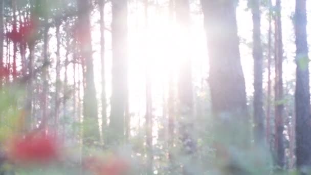 Männerbeine liegen auf dem Waldboden. — Stockvideo