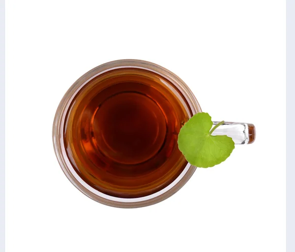 Tee Centella Asiatica Asiatischer Pennywort Heißer Tee Glas Auf — Stockfoto