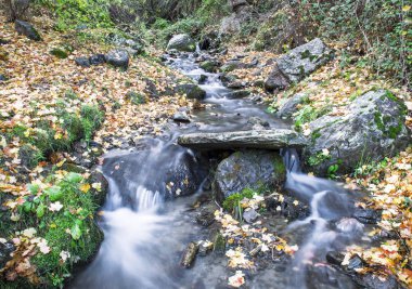 Cascada de un rio 