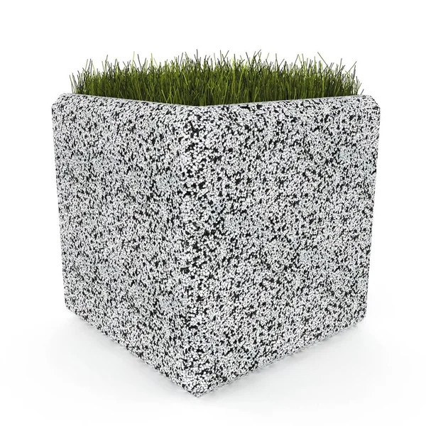 3 boyutlu saksı Barbara 'yı oluşturur