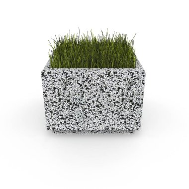 3B model fpower pot Jessica