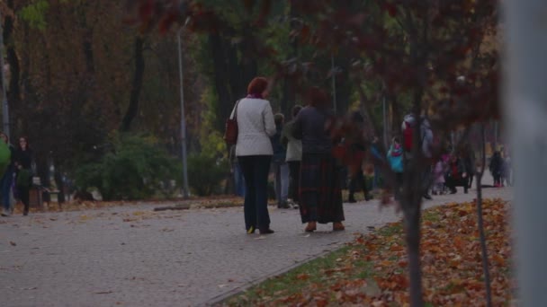 Chernihiv, Ukrajina. 13. října2019. Lidé mají večerní procházku podzimním parkem — Stock video