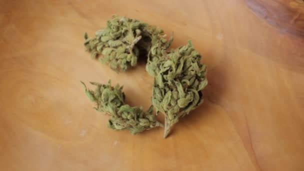 Csúszás és serpenyő körül sativa és indica fűbimbók a fa lemez. Cbd, Thc illusztrációs felvétel. Széles, közeli kép — Stock videók