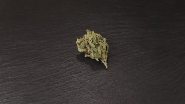 Pequena erva daninha sativa ou indica com cristais de trichoma fresco na mesa de ardósia giratória. Fundo preto — Vídeo de Stock