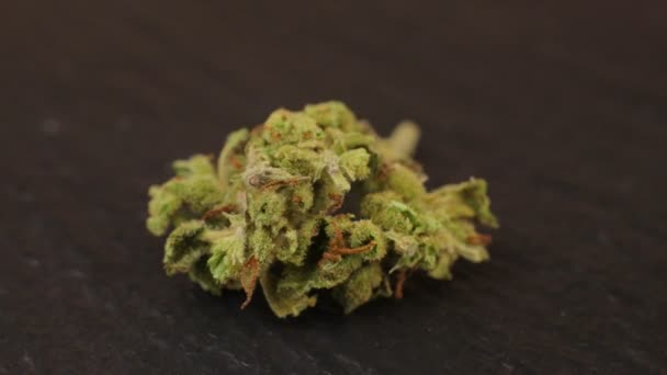 Macro shot de erva daninha sativa ou indica com cristais de trichoma fresco na mesa de ardósia giratória. Fundo preto — Vídeo de Stock