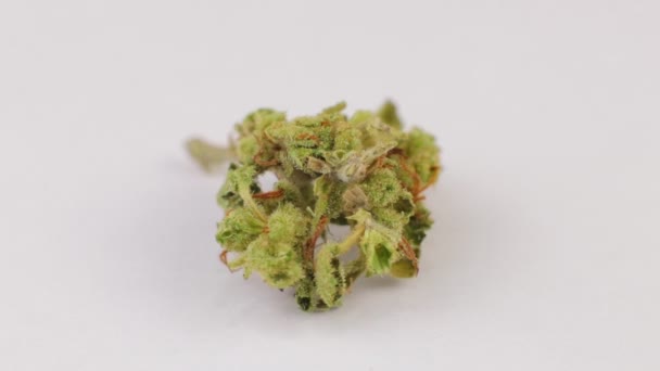 Macro shot of sativa or indica weed bud with fresh trichoma crystals on turning subject wooden table. White background — Stock Video