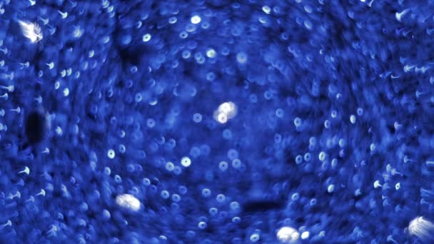 Blinking, glittering and sparkling blue bokeh lights inside the New Year or Christmas light ball in night illumination — Stock Video