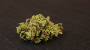 Makro sativa ya da çivit otu tomurcuğu ve taze trikoma kristalleri. Siyah arkaplan