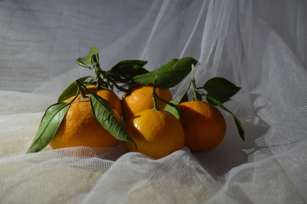 Mandarinas maduras mandarinas con hojas y ramas verdes — Foto de Stock