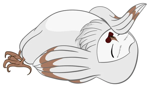 Векторная белая амбарная сова Драма Квин в мультфильме — стоковый вектор