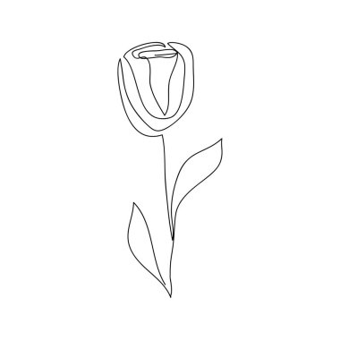 Vektör hattı sanat çiçeği. Minimalizm, zarif