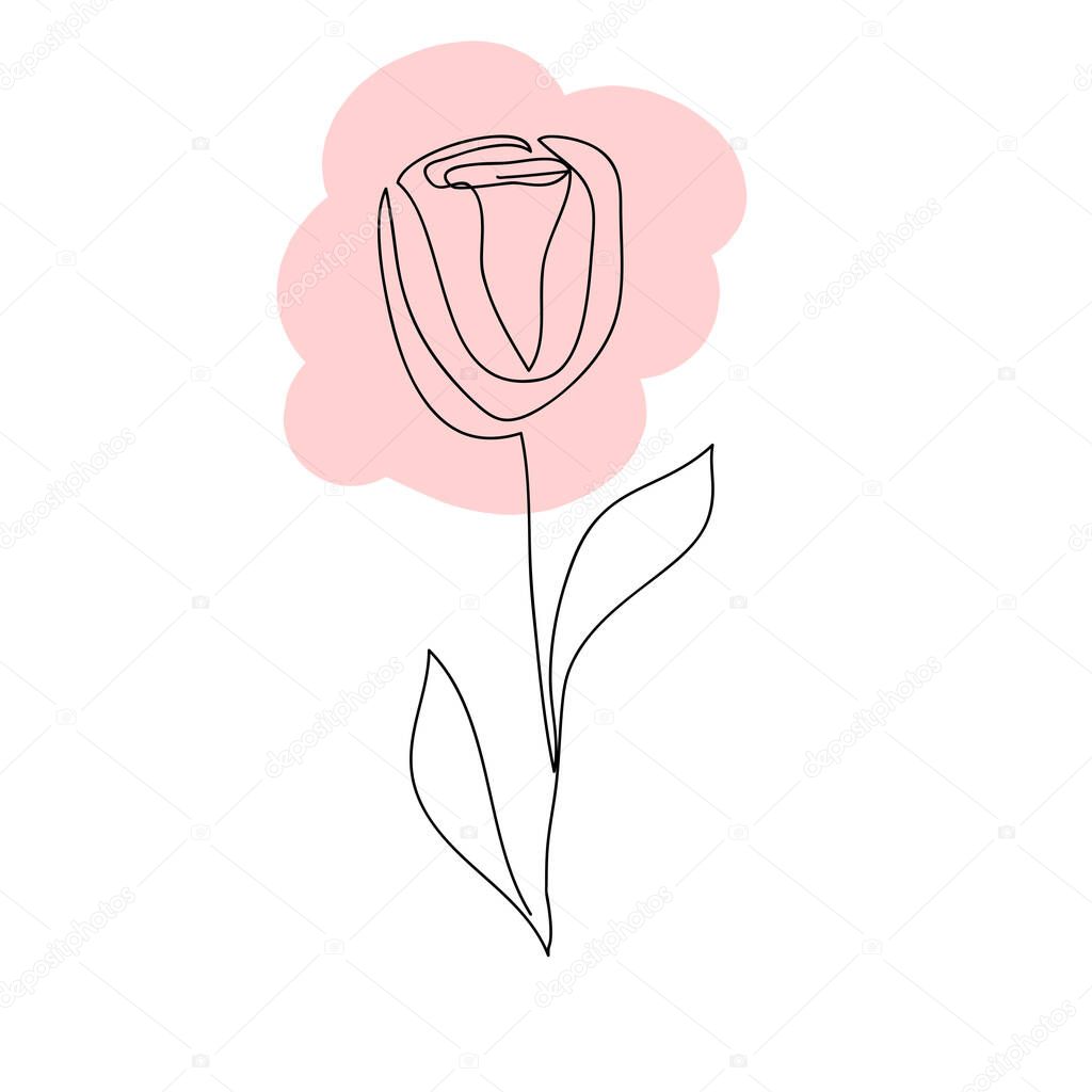 Vector line art flower. Minimalism, elegant