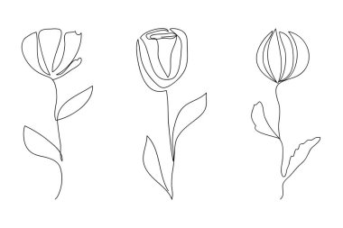 Vektör çizgisi sanat çiçekleri. Minimalizm, zarif