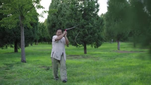 Un hombre con un látigo en el parque. Beijing. De China. Países Bajos — Vídeos de Stock