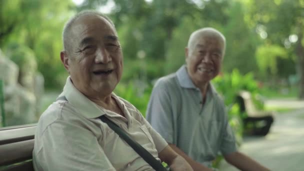 Two pensioners in the park. Beijing. China. Asia — Stock Video