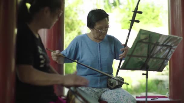 Kvinnlig musiker i parken. Peking. Kina. Asien — Stockvideo