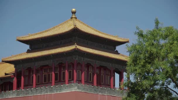 中国建築。北京。中国だアジア — ストック動画