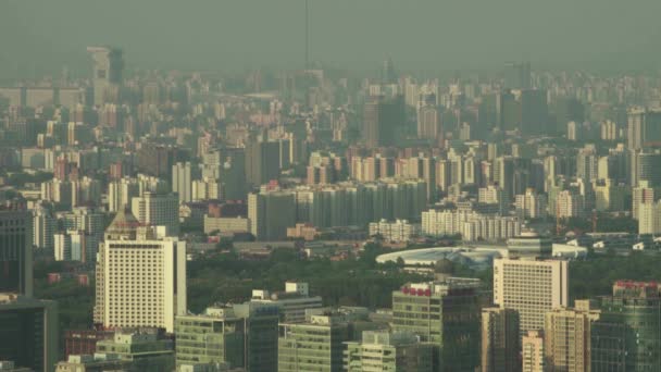 Vista de la ciudad desde una altura. Paisaje. Beijing. De China. Países Bajos — Vídeos de Stock