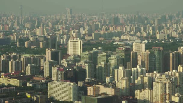 Vista de la ciudad desde una altura. Paisaje. Beijing. De China. Países Bajos — Vídeos de Stock