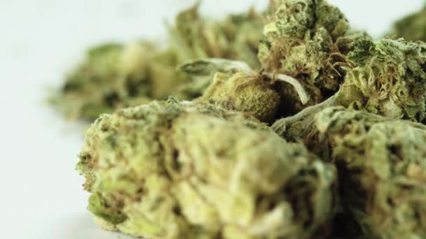 Marihuana. Cannabis. Hennep. Een close-up. Onkruid — Stockvideo