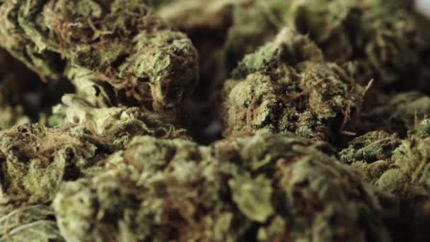 Marijuana. Cannabis. Hemp. Close-up. Slow motion — Stock Video