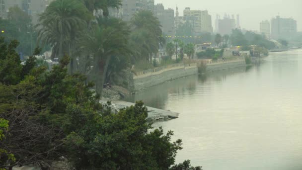 The Nile River at dawn. Cairo. Egypt. — Stockvideo