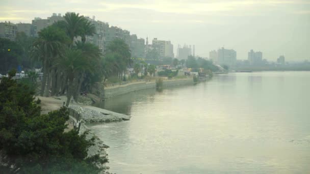 Il fiume Nilo all'alba. Il Cairo. Egitto . — Video Stock