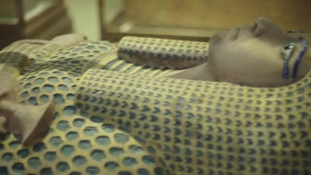 Mama in het museum. Caïro. Egypte. — Stockvideo