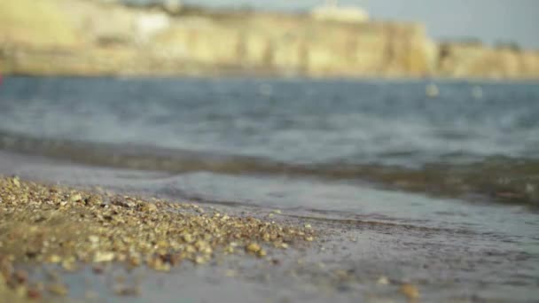 Close-up of sea shore on the beach. Sharm el Sheikh. Egypt. — ストック動画