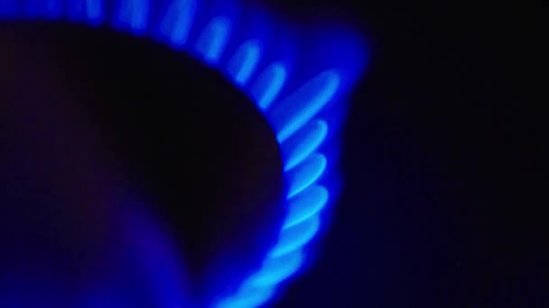 Fuego en una estufa de gas en una estufa de gas — Vídeo de stock