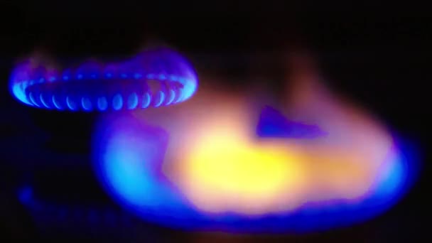 Incendie dans une cuisinière à gaz sur une cuisinière à gaz — Video
