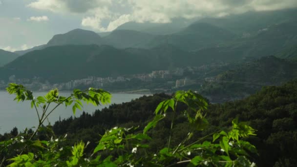 Dağlar ve deniz. Kıyı manzarası. Karadağ. Gün — Stok video