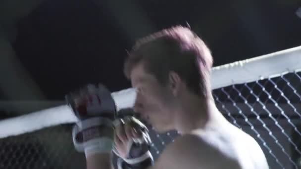 Un combattant masculin dans l'octogone MMA. Kiev. Ukraine — Video