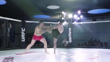 Mma sekizgeninde dövüş. Kyiv. Ukrayna