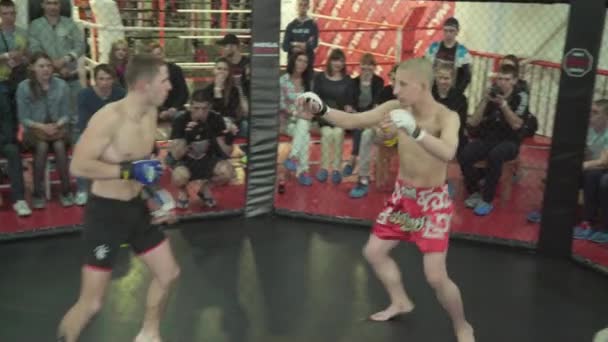 Fight in the MMA octagon. Kyiv. Ukraine — ストック動画