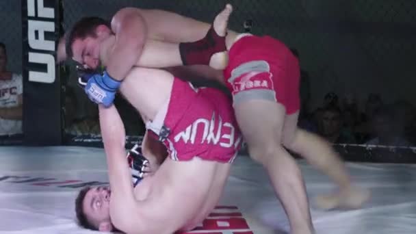 Fight in the MMA octagon. Kyiv. Ukraine — ストック動画