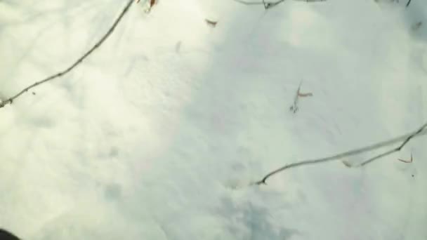 Un hombre se perdió en un bosque nevado en invierno. POV — Vídeo de stock