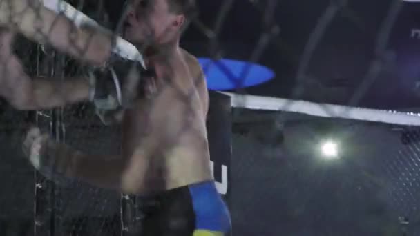 Fight in the MMA octagon. Kyiv. Ukraine — Stock Video