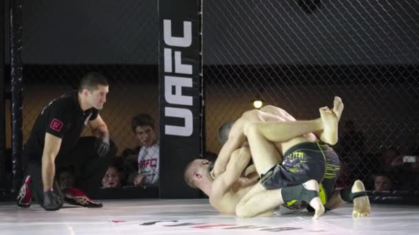 Bertarung di MMA Octagon. Kyiv. Ukraina — Stok Video