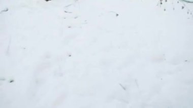 Bir adam kışın karlı bir ormanda kayboldu. Pov