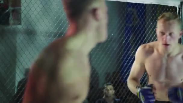 Bertarung di MMA Octagon. Kyiv. Ukraina — Stok Video