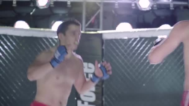 Battez-vous dans l'octogone MMA. Kiev. Ukraine — Video