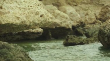 Taşlı deniz kıyısı. Şeyh Sharm. Mısır.
