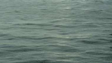 Gün batımında deniz suyu. Yakın plan. Sharm-el-Sheikh. Mısır.