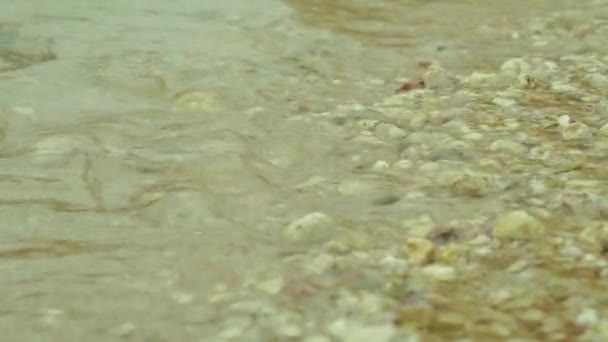 石质海滨。 沙姆沙伊赫沙姆沙伊赫。 埃及. — 图库视频影像