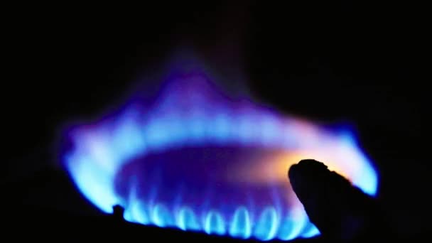 Fuoco in un focolare a gas su una stufa a gas — Video Stock